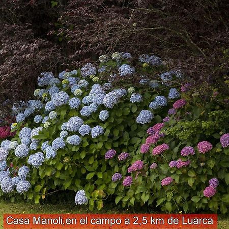 알무나 Casa Manoli Luarca 게스트하우스 외부 사진