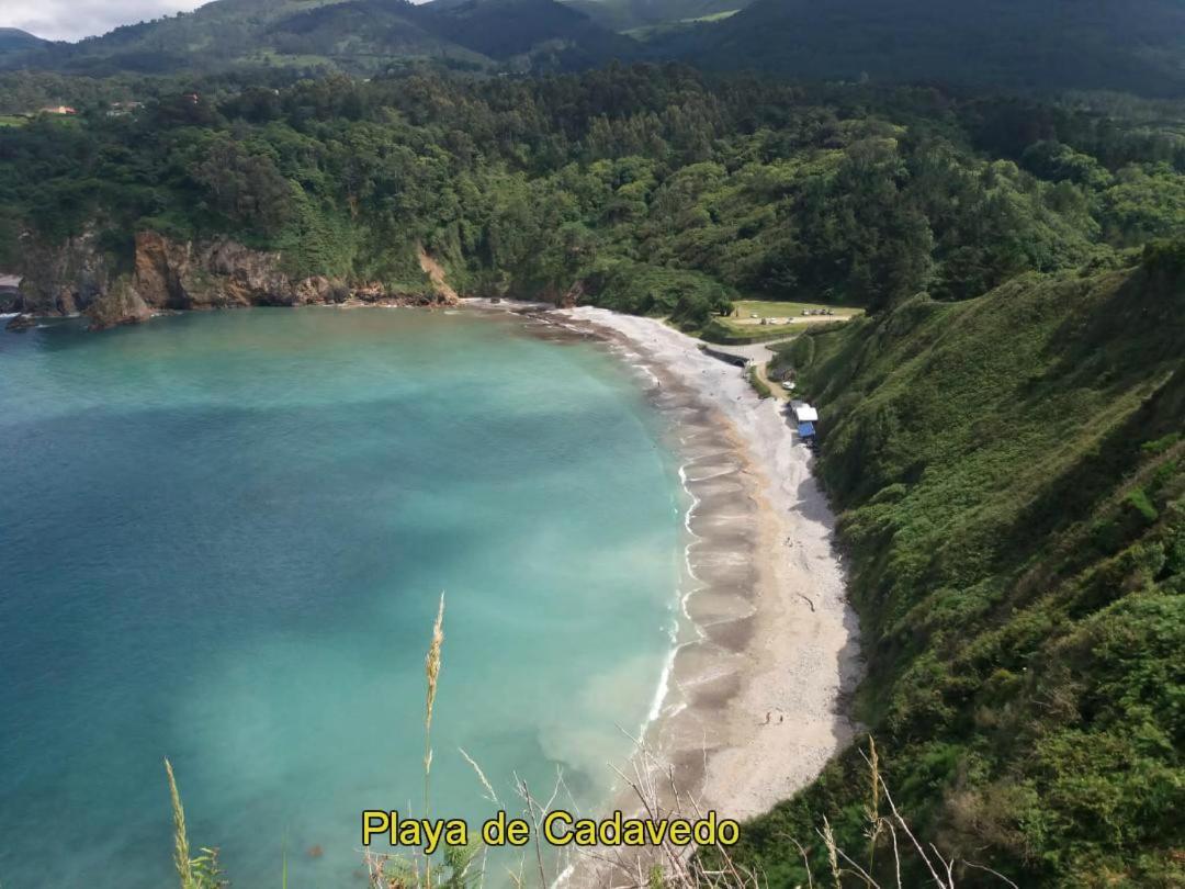 알무나 Casa Manoli Luarca 게스트하우스 외부 사진